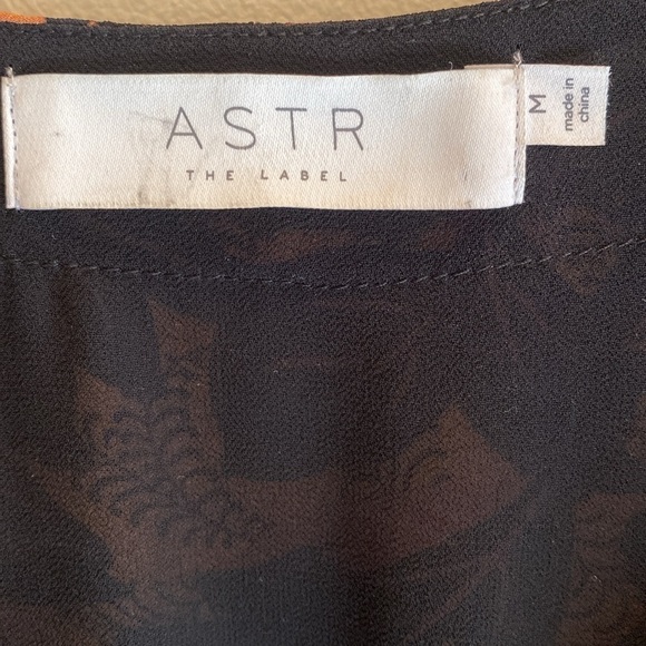 ASTR The Label Dark Romantic Sheer L/S Lined V Neck Empire Smocked Dress Sz M - Picture 4 of 11